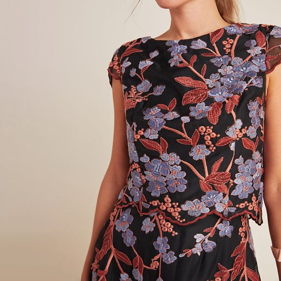 Anthropologie Alessia Embroidered Chiffon Dress - Picture 3 of 4